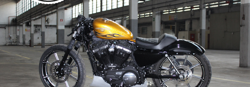 Ecco le finaliste del concorso The Battle of the Kings 2016