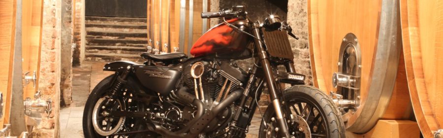 Ecco le 12 finaliste del concorso Battle of the Kings !